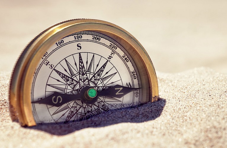 Co-Check, Nadine Hellmold, Kontakt