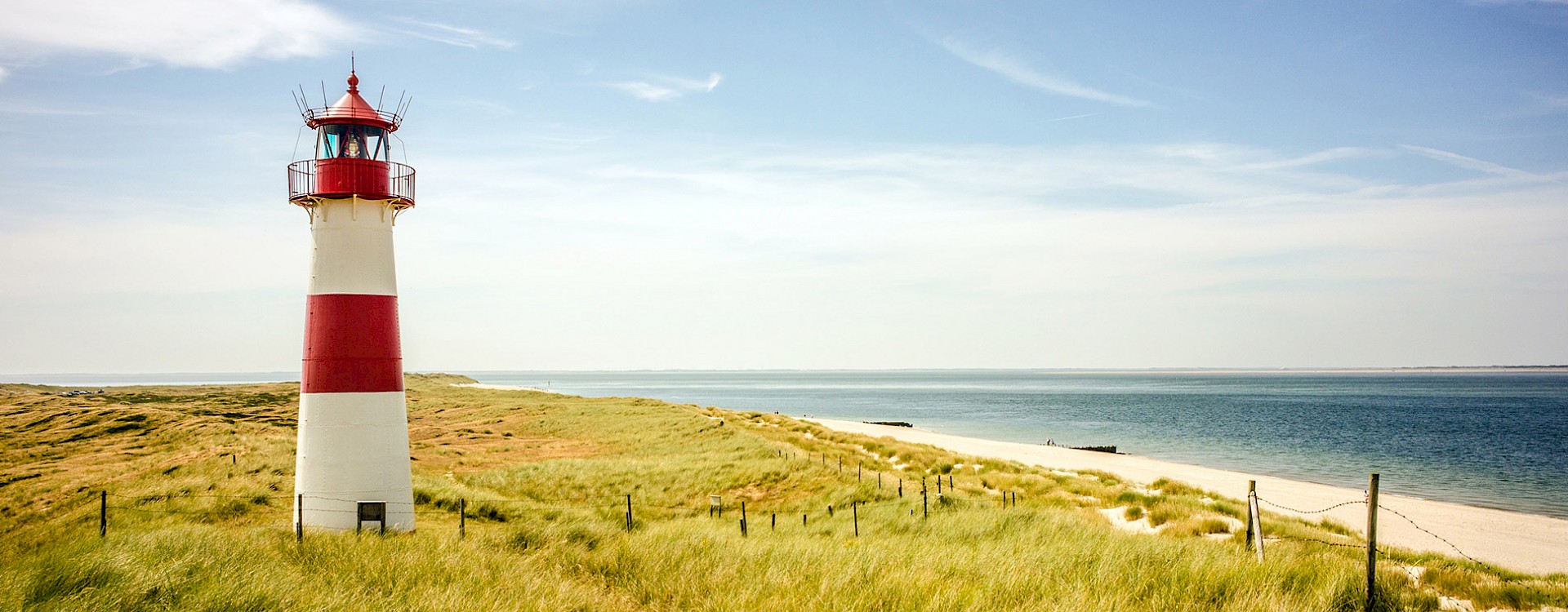 Co-Check, Consulting, Coaching, Personalberatung