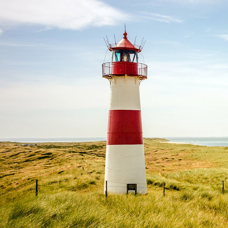 Co-Check, Consulting, Coaching, Personalberatung