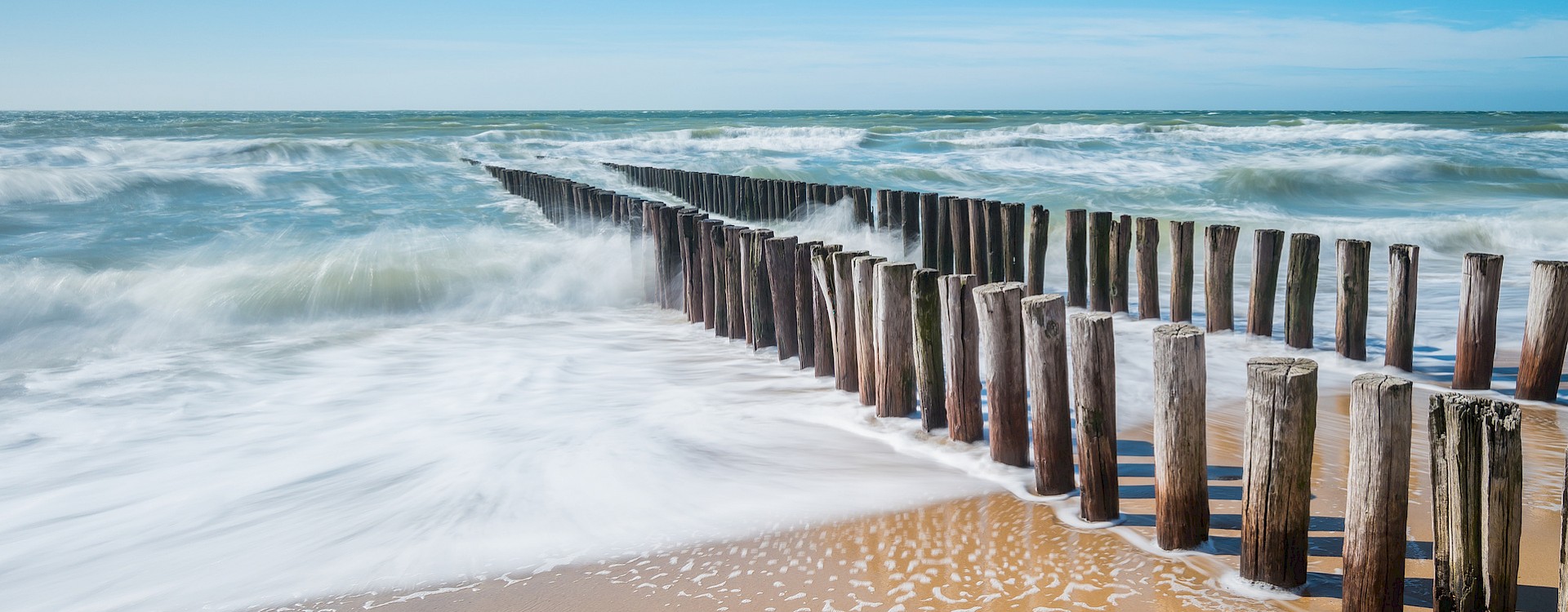 Co-Check, Unternehmensentwicklung, Personalsuche, Personalentwicklung