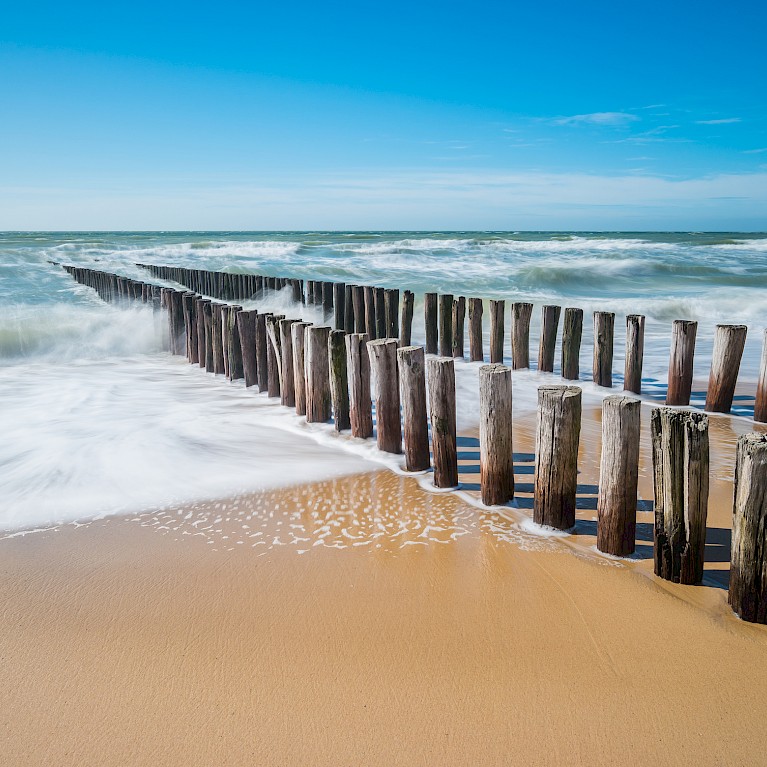 Co-Check, Unternehmensentwicklung, Personalsuche, Personalentwicklung