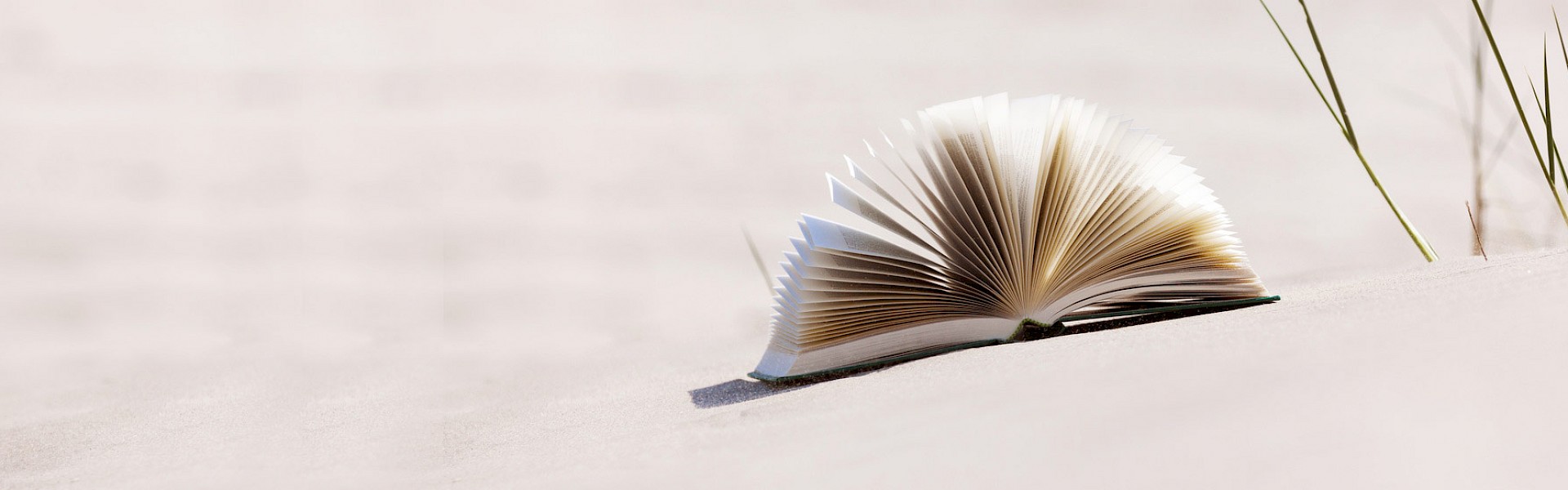 Co-Check, Personalentwicklung